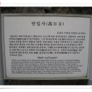만일향