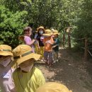 중동반석유치원 이미지