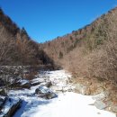 오대산 금빛펜션 이미지