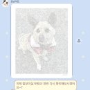 피포 | 피포페인팅 주문제작 후기 (네이버스토어 금손아트)