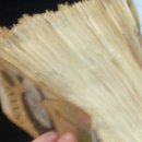 리더스숲유치원 이미지