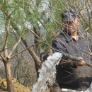 쌈채우리 이미지