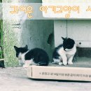 중앙탑매점