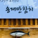 송재만참치