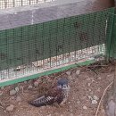 도야주유소 이미지