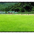 스마일민박 이미지