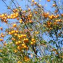 대둔산농장 이미지