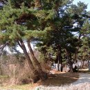 백암길185미술관 네이버블로그