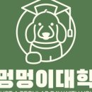 예쁜멍멍이 이미지