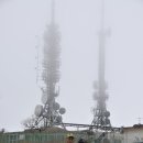 화순목장 이미지