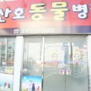 산호동247 이미지