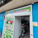 새말 티스토리