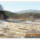 상주랜드공인중개사사무소 Daum카페