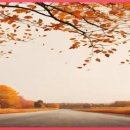 명인목장 이미지