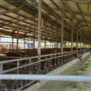 남해암소한마당 이미지