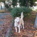 (주)포즈 이미지
