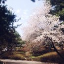 유미약국 이미지