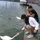 낙동강 자동차정비 이미지