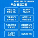 용인대 수 합기도 이미지