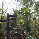 진관동 주민센터 이미지