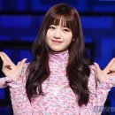 코코로 이미지