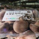 농업회사법인 (주)항암식품