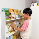 주식회사 책장속북스 | 초등필독서 키위북스 <처음부터 제대로> 우리집 책장에 들인 이유
