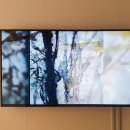 쉐마미술관 이미지