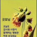 예쁜하루 이미지
