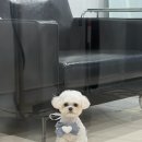 개린이살롱