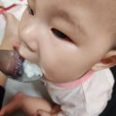 달콤왕가탕후루 동대구역점 네이버블로그