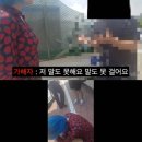 꽁지