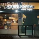 개포별빛동물병원 이미지