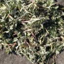 가술농장 이미지