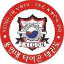 용인대타이곤 태권도 체육관 이미지