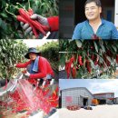 (주)온들에 이미지