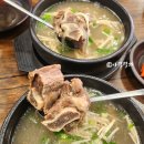 칠성삼계탕 | 대구 칠성시장 맛집 큰맘할매순대국 여름보양식 소갈비탕