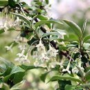 컴퓨터교실 이미지