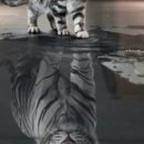 광교검도관 이미지