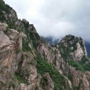 24시 인천동물병원 치료해주오 이미지