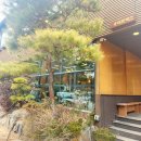 송림로(유성-17) 이미지