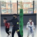 보람찬태권도 이미지
