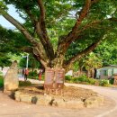 대월리 마을회관 이미지