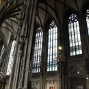 세상의모든자동차 이미지