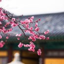 송학행정사사무소 이미지