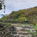 평대 모살코지 이미지