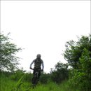 바람의노래 이미지