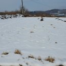 더좋은자리부동산중개사무소 이미지