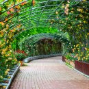 구목정공원 이미지