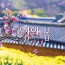 고향의 봄 이미지